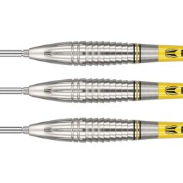 STEEL TARGET SCOTT WILLIAMS 25 GRAMMI