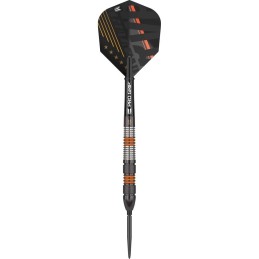 STEEL RAYMOND VAN BARNEVELD BLACK 23 GRAMMI