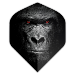 DESIGNA- SET ALETTE MONKEY'