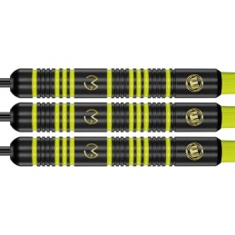 FRECCETTE WINMAU MICHAEL VAN GERWEN 20GRAMMI