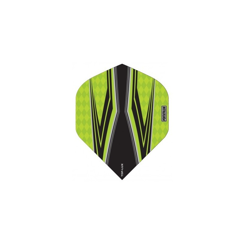 PENTATHLON LUX VISION FINS BLACK/WATER