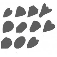 BY SHAPE