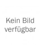 Spinnen